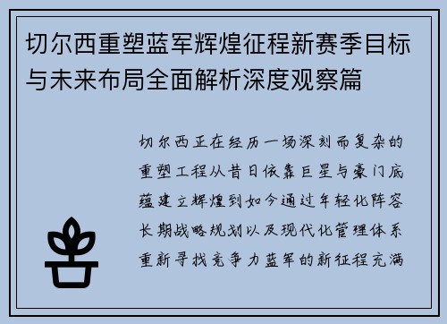切尔西重塑蓝军辉煌征程新赛季目标与未来布局全面解析深度观察篇